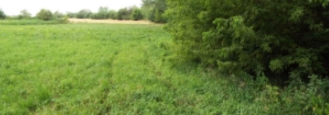 straky-pc-1529-2-prehled