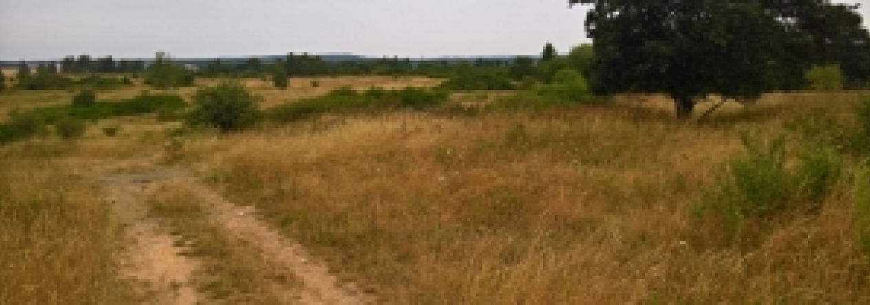 stribro-pc-933-1-3146-3152-3153-prehled