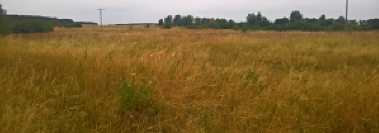 stribro-pc-949-prehled