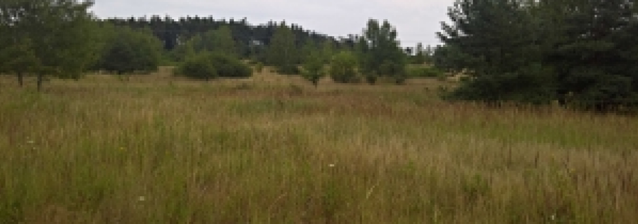 techlovice-u-stribra-pc-1235-1-1273-1-5-6-1652-prehled