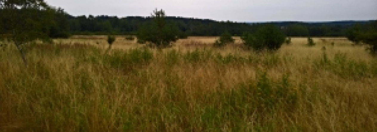 techlovice-u-stribra-pc-1355-1-4-5-1341-1-2-1368-2-prehled