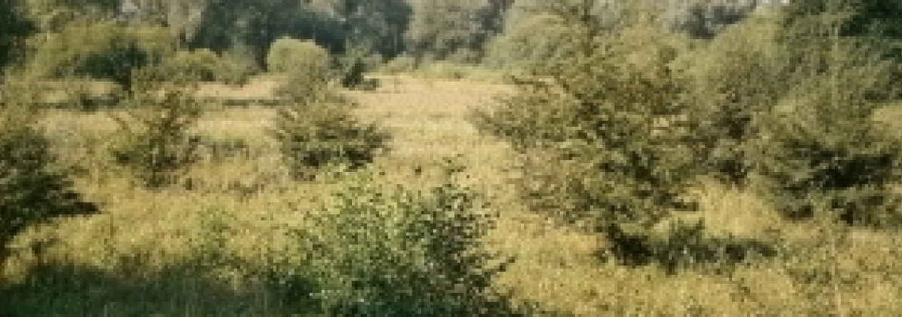 terezin-pc-736-3-738-1-819-prehled