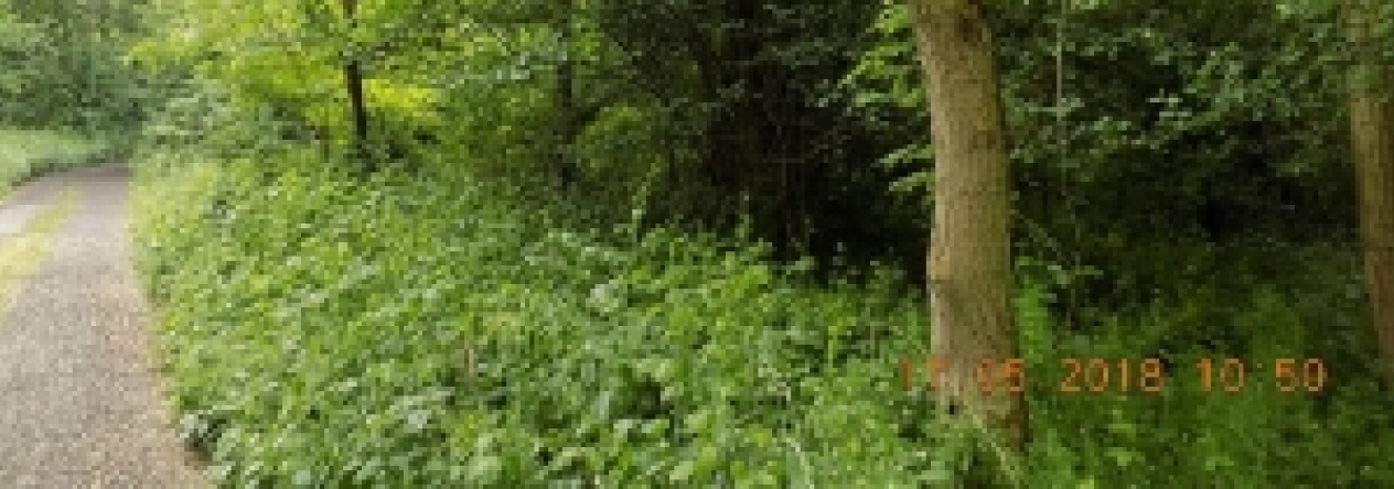 terezin-pc-818-5-prehled