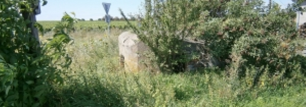 valtice-vec-790ol-prehled