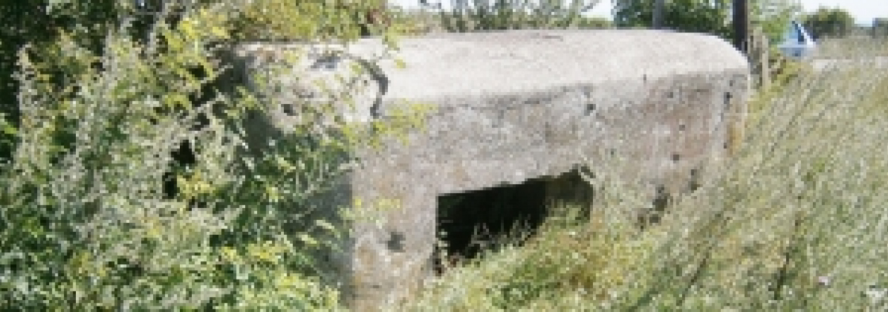 valtice-vec-799ol-prehled