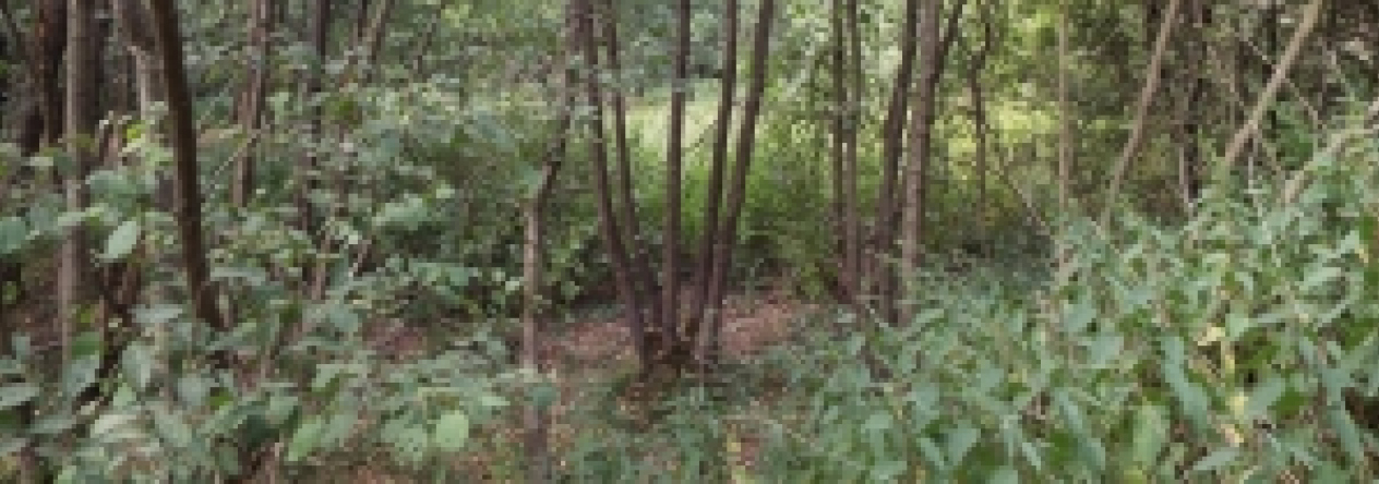 velenice-u-zakup-pc-861-prehled