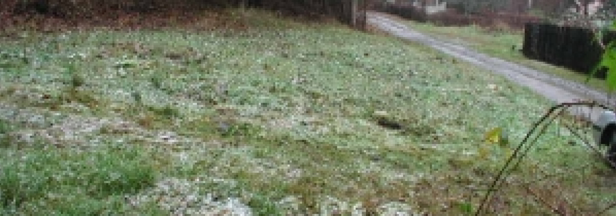 vlkovec-pc-833-prehled