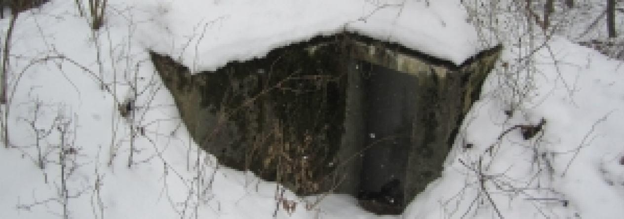 vranov-nad-dyji-vec-294ol-prehled