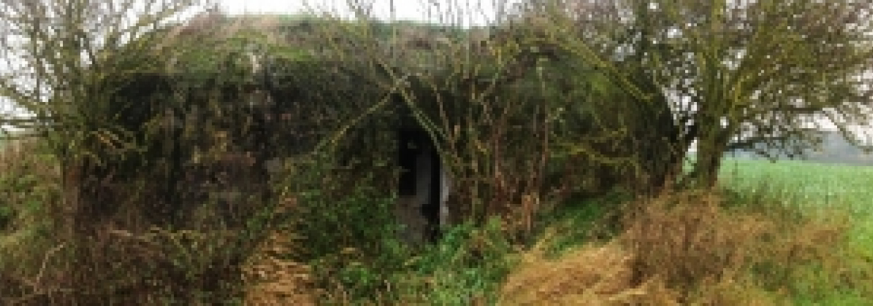 vratenin-vec-192ol-prehled