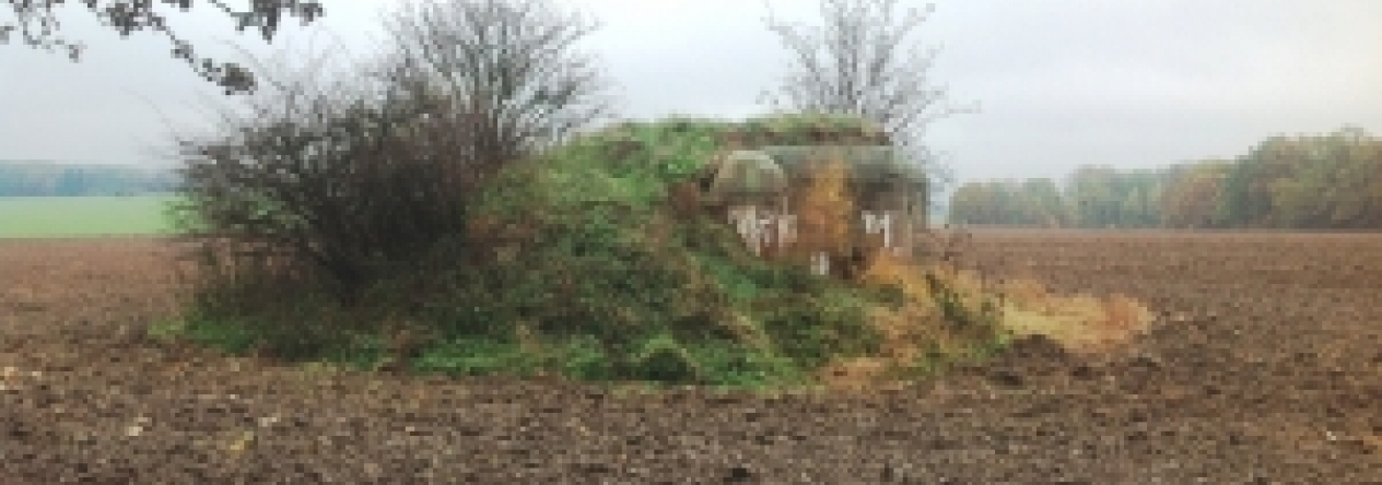 vratenin-vec-195ol-prehled