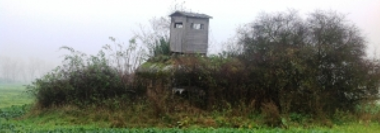 vratenin-vec-210ol-prehled