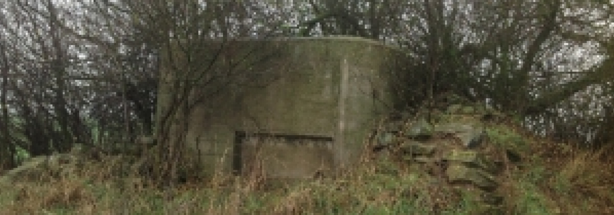 vratenin-vec-220ol-prehled