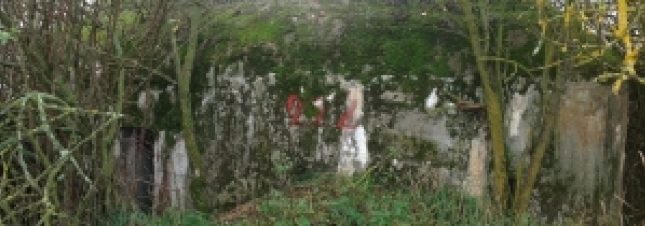 vratenin-vec-222ol-prehled