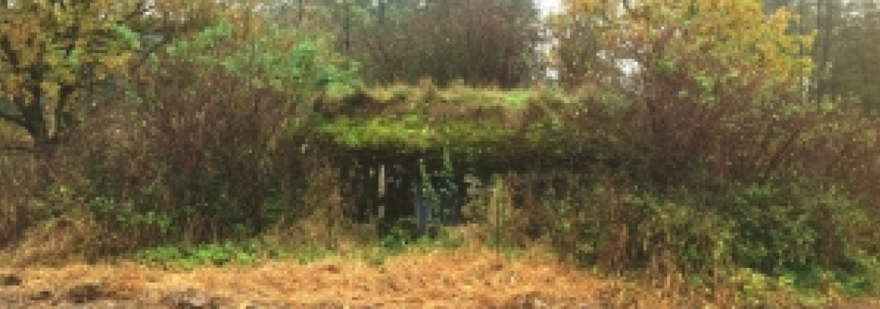 vratenin-vec-223ol-prehled