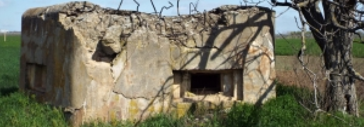 vrbovec-vec-440ol-prehled