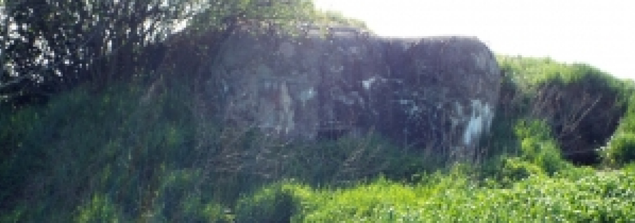 vrbovec-vec-441ol-prehled