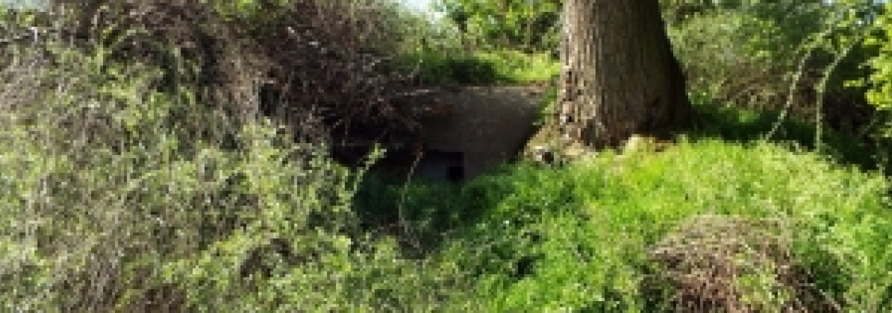 vrbovec-vec-443ol-prehled