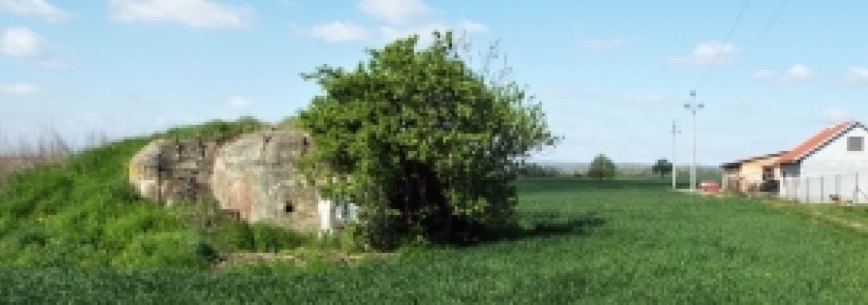 vrbovec-vec-446ol-prehled