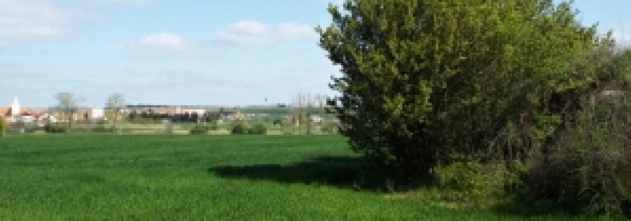 vrbovec-vec-449ol-prehled