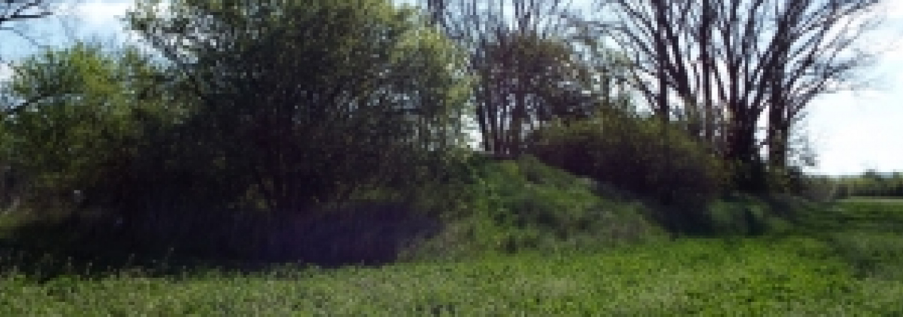 vrbovec-vec-450ol-prehled