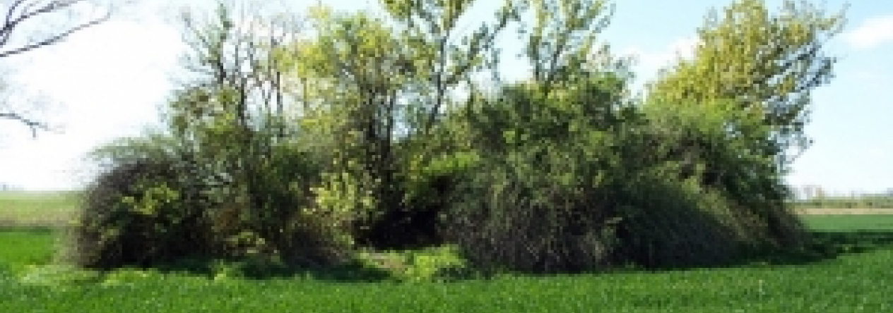 vrbovec-vec-454ol-prehled