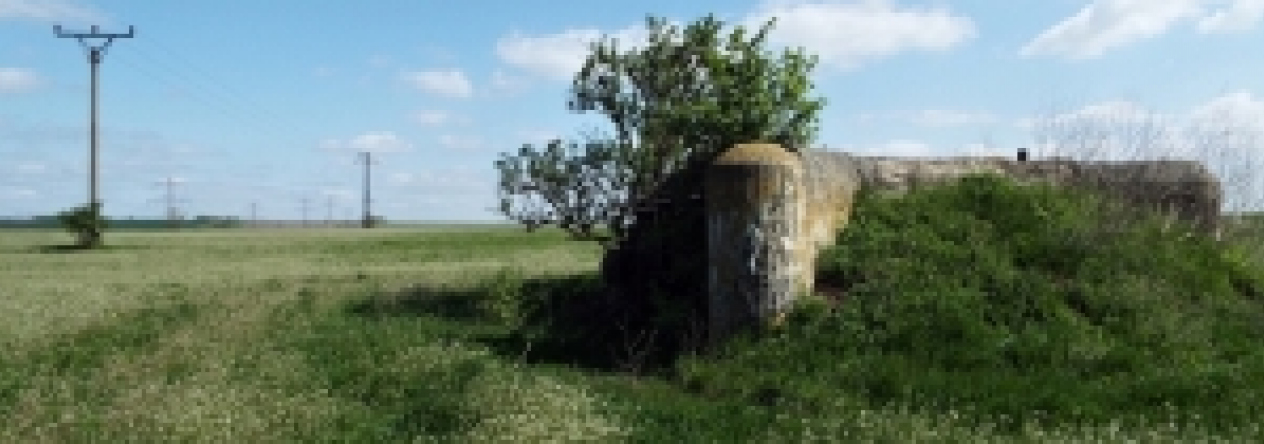 vrbovec-vec-455ol-prehled