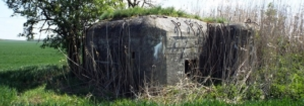 vrbovec-vec-456ol-prehled