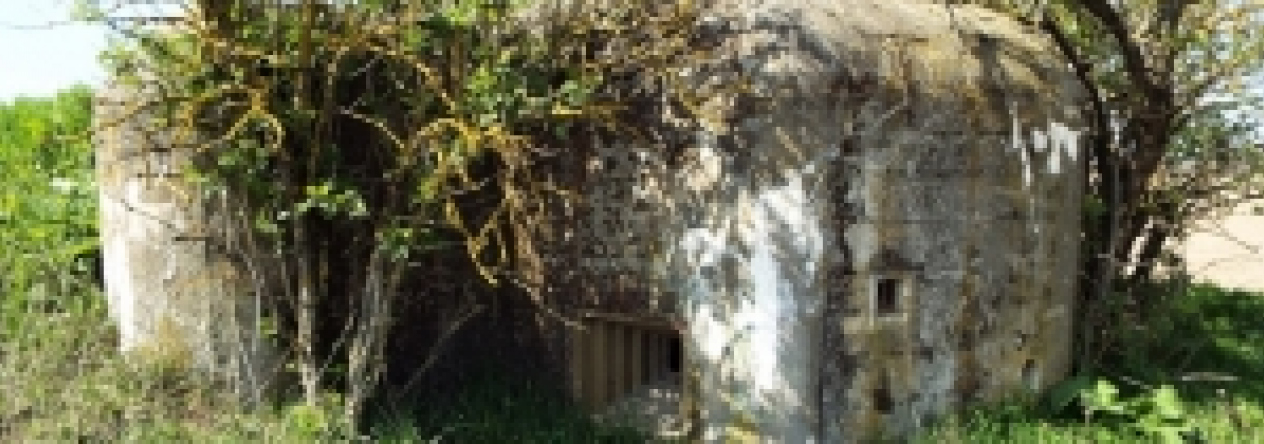 vrbovec-vec-461ol-prehled