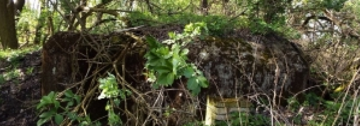 vrbovec-vec-465ol-prehled