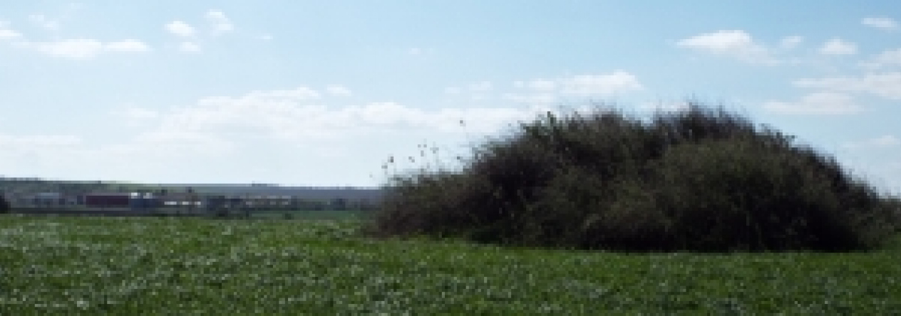 vrbovec-vec-467aol-prehled