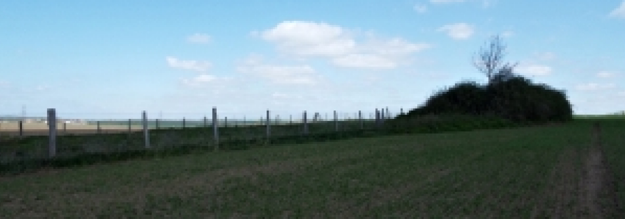 vrbovec-vec-467ol-prehled