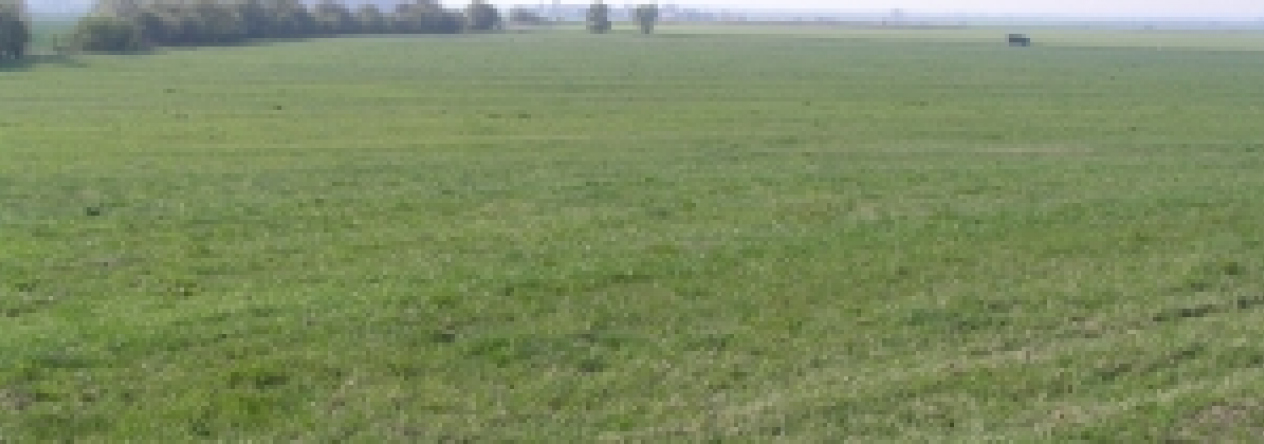 zbozicko-pc-362-1-prehled