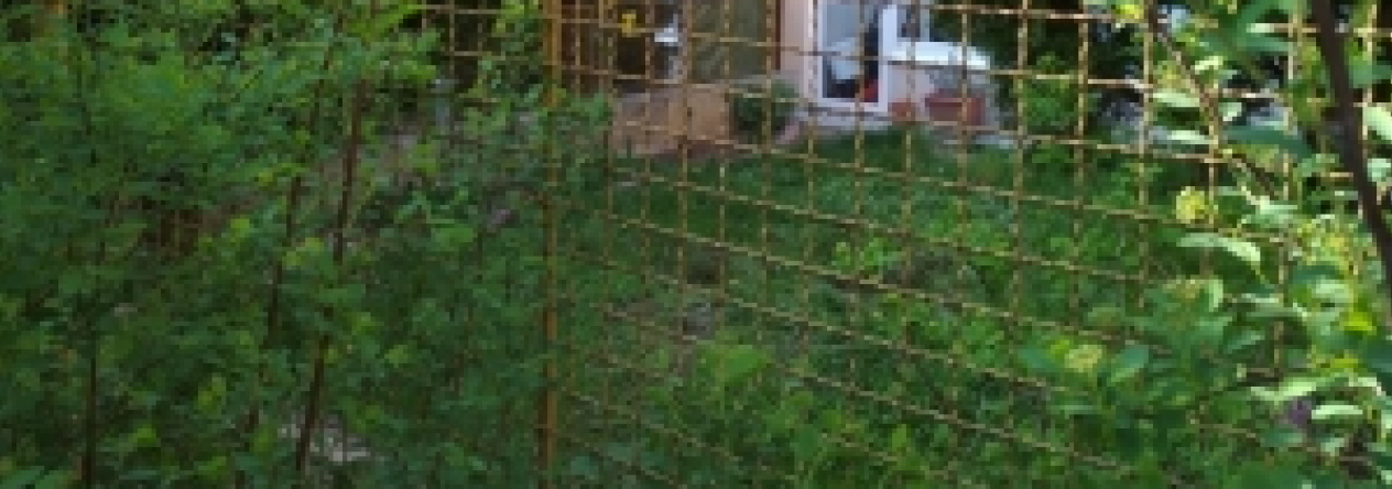 zizkov-podil-pc-3095-7-prehled