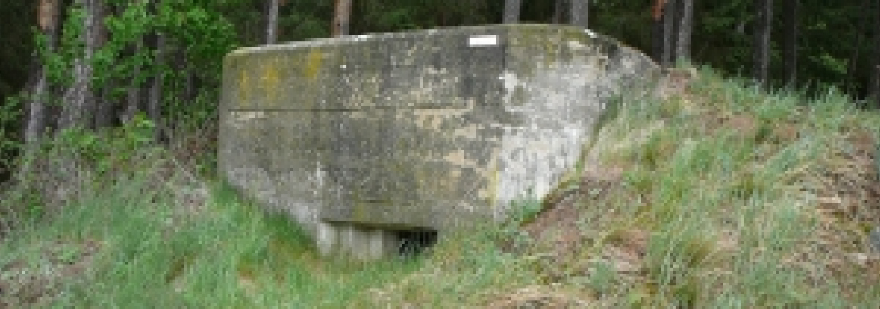 zupanovice-u-desne-vec-6153-prehled