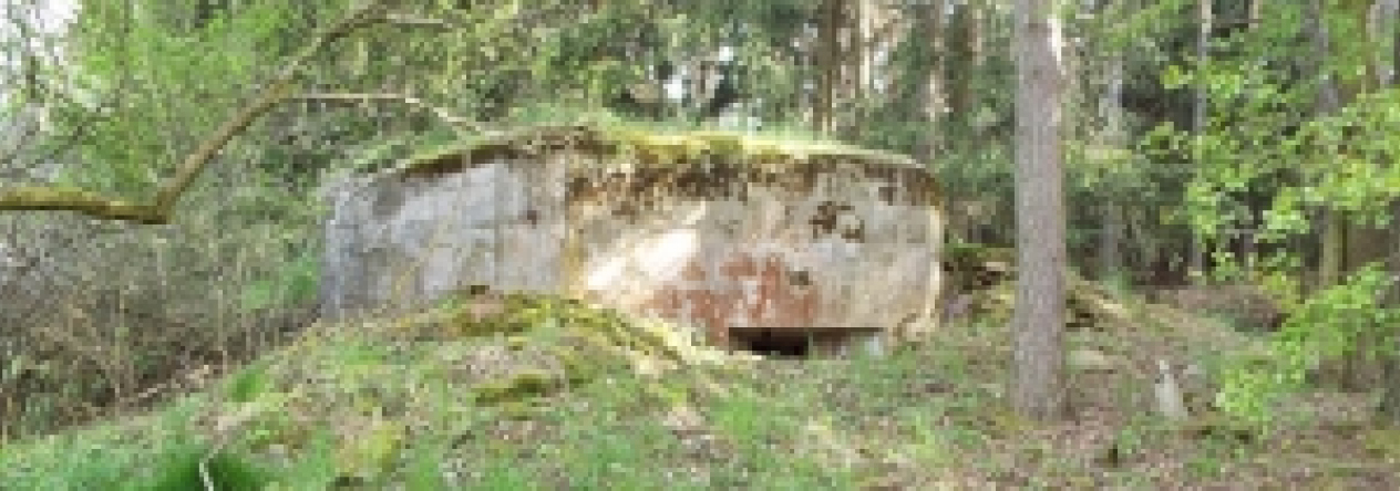 zupanovice-u-desne-vec-6154-prehled