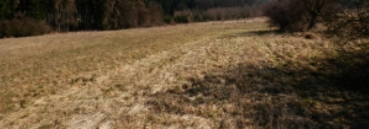 zvanovice-pc-746-prehled