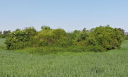 jamnice-vec-r98op-prehled