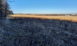 litvinovice-261-2-prehled