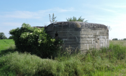 novy-dvur-vec-r118op-prehled