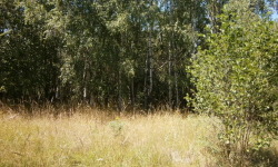 rancirov-358-10-jihlava-5577-1-prehled