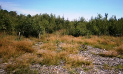 rancirov-745-2-prehled