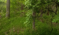 dobsice-u-tyna-nad-vltavou-pc-892-prehled