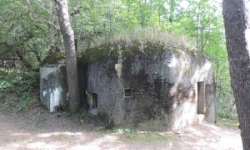 domasov-u-jesenika-vec-217je-prehled