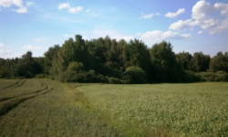 vilanec-pc-1997-2-2011-2-prehled