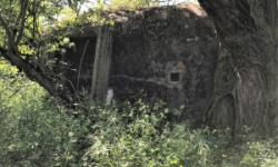 dyjakovice-vec-541ol-prehled