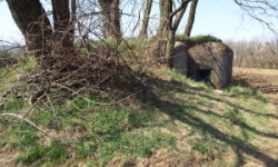 kubsice-vec-938ol-prehled