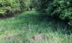 lesany-nad-sazavou-pc-539-13-prehled