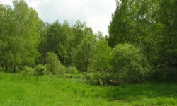 pistov-u-jihlavy-pc-485-4-5-prehled
