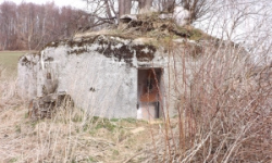 adolfovice-vec-230je-prehled