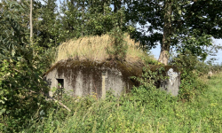 sec-u-jesenika-vec-246je-prehled